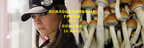 не бодяженный Абаза