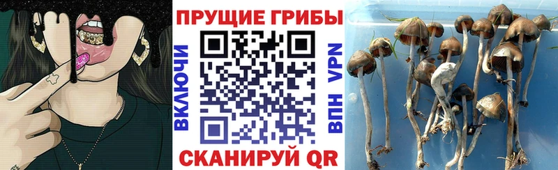 где найти наркотики  Нариманов  Псилоцибиновые грибы мухоморы 